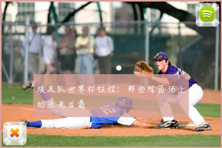 埃及队世界杯征程:那些绿茵场上的法老后裔