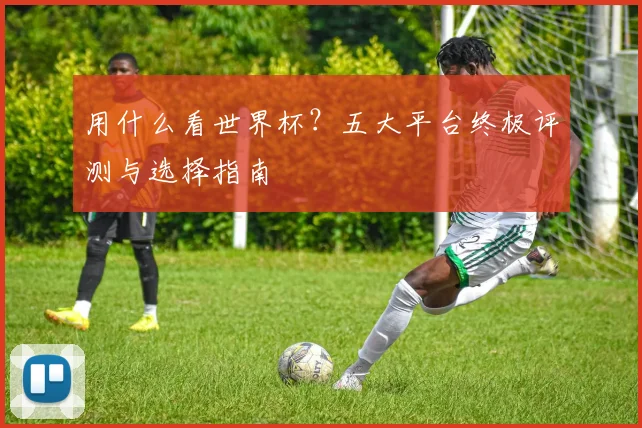 用什么看世界杯？五大平台终极评测与选择指南