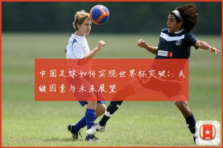 中国足球如何实现世界杯突破:关键因素与未来展望
