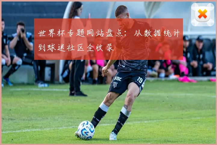 世界杯专题网站盘点：从数据统计到球迷社区全收录