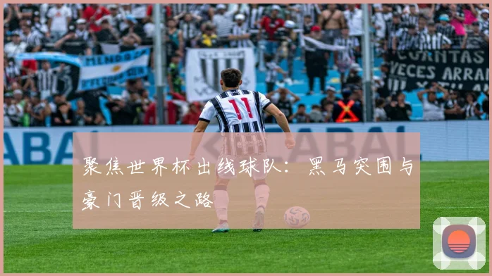 聚焦世界杯出线球队：黑马突围与豪门晋级之路