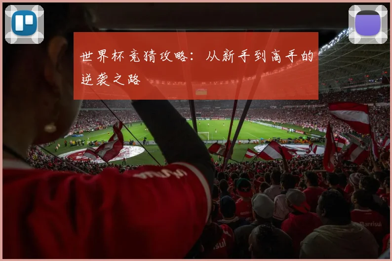 世界杯竞猜攻略：从新手到高手的逆袭之路